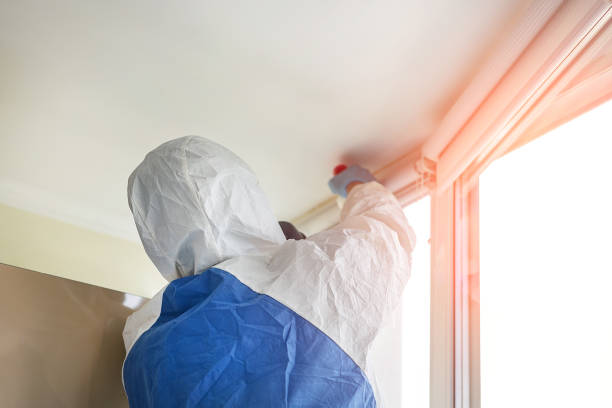 Why You Should Choose Our Mold Remediation Services in Daniels, WV